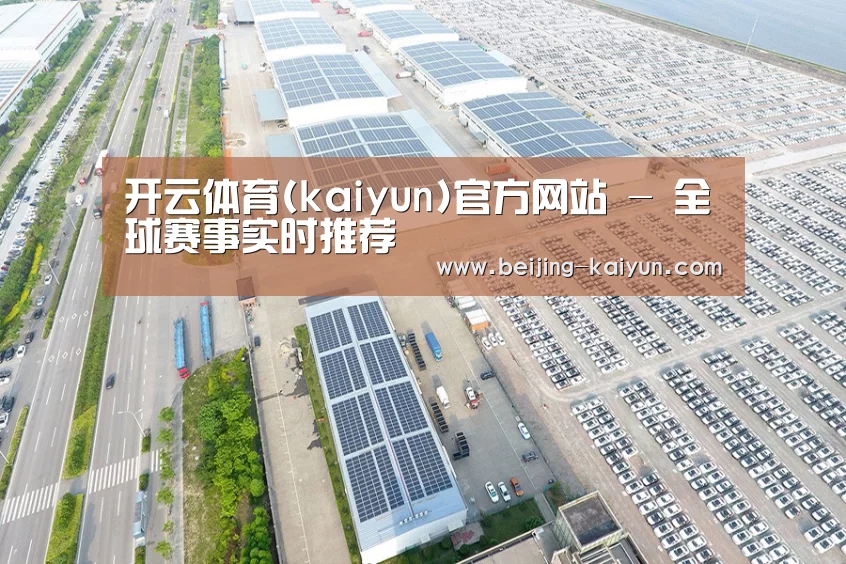 案例展示一
